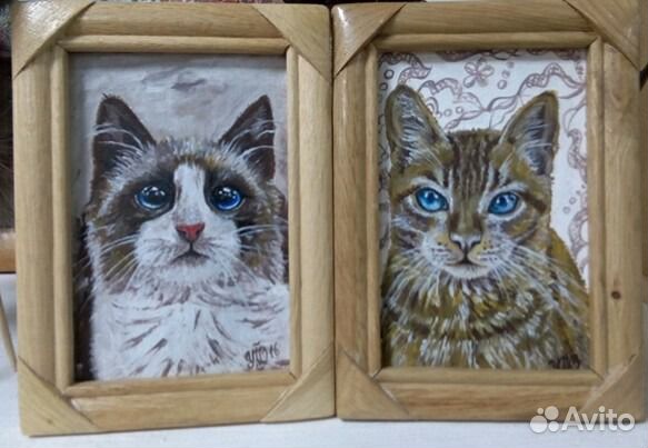 Котики