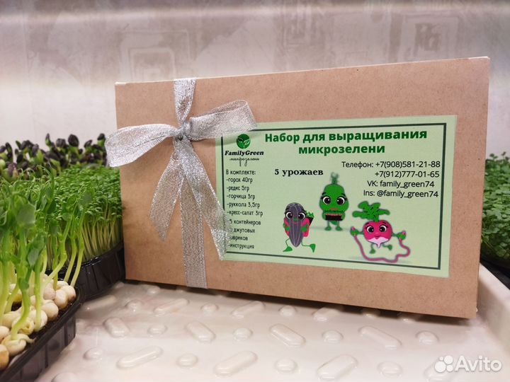 Набор для выращивания микрозелени