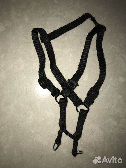 Шлея