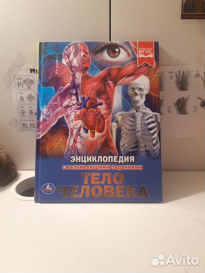 Энциклопедия Тело человека