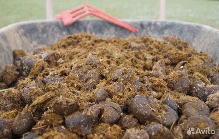 Конский навоз