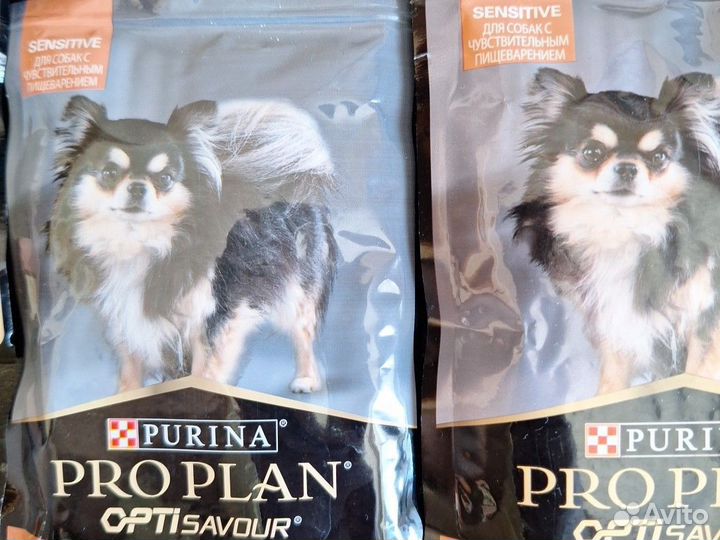 Pro Plan собаке