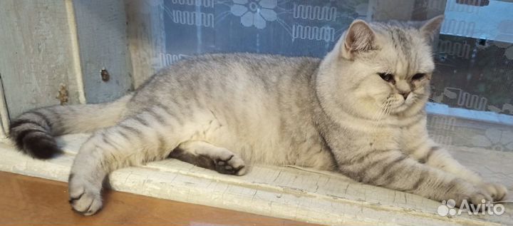 Котик для вязки