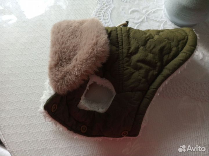Одежда для животных