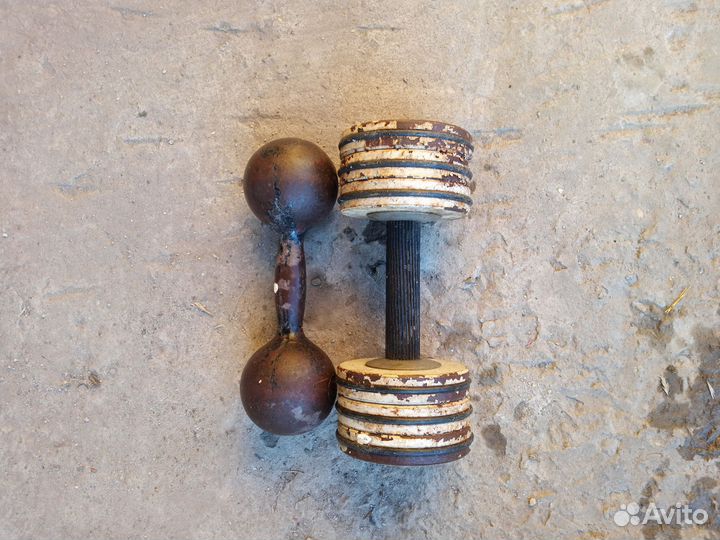 Гантели разборные