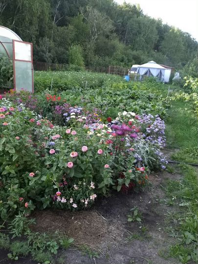 Участок 10 сот. (СНТ, ДНП)