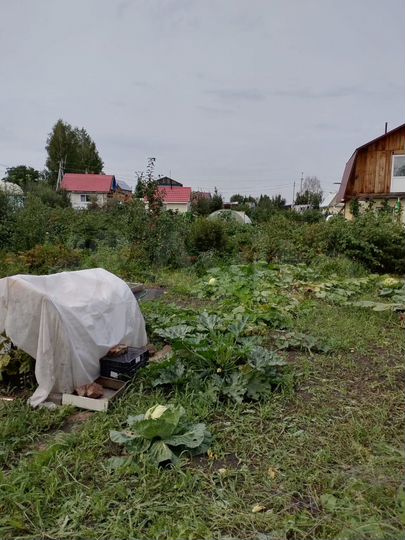 Участок 4,5 сот. (СНТ, ДНП)