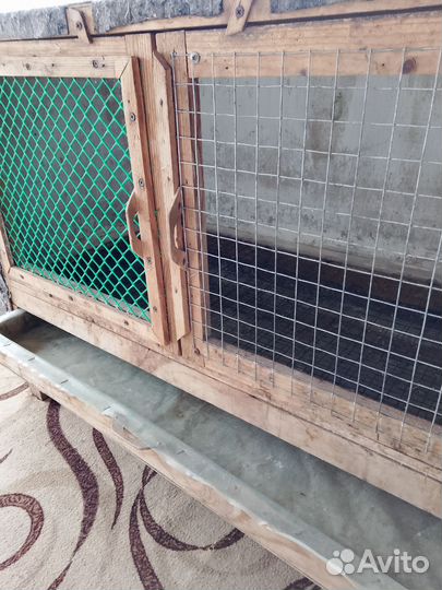 Товары для животных