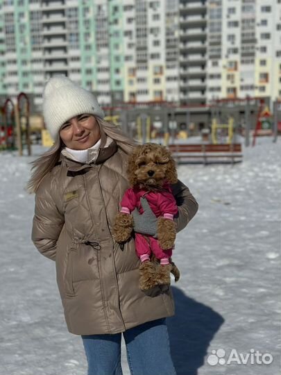 Комбинезон для собак мелких пород