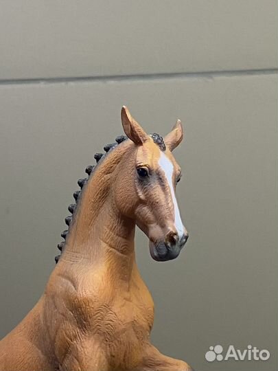 Ганновер кобыла