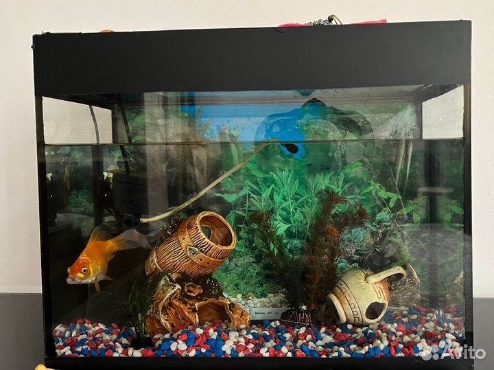 Аквариум