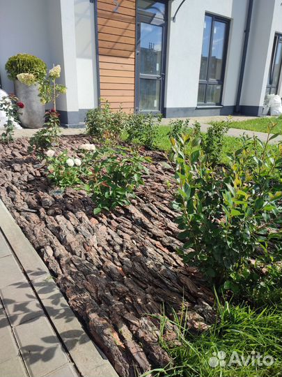 Кора сосны, Мульча. Крупная и средняя фракция