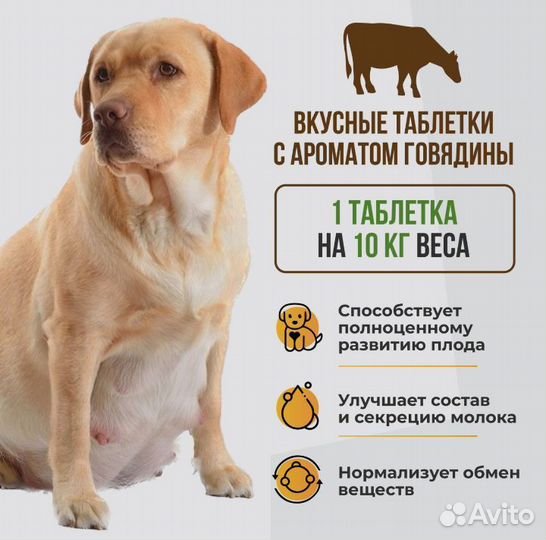 Витамины для собак