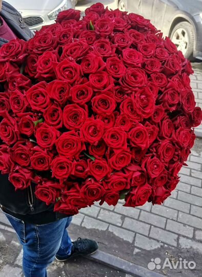 Розы, букет цветов, 101 роза. Розы опт