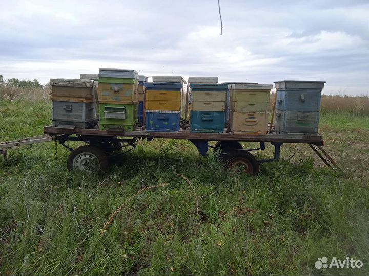 Прицеп платформа для перевозки и кочёвки пчел