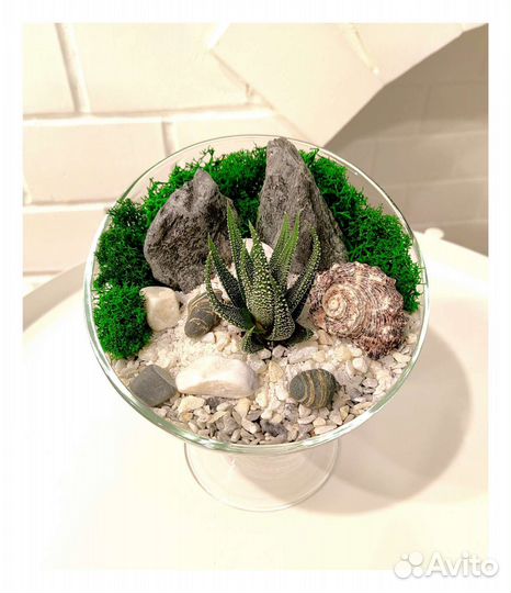 Флорариум открытый