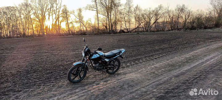 Racer tiger 150-23
