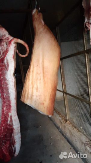 Свинина молодая деревенская