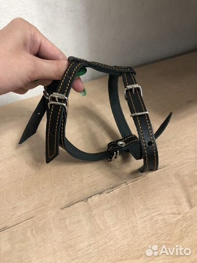 Шлейка для маленькой собаки