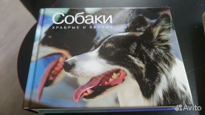 Собаки храбрые и верные