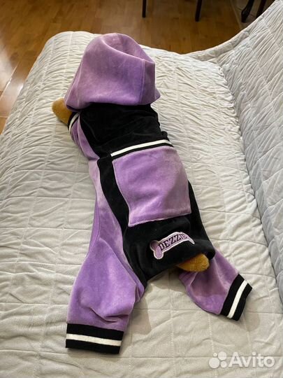 Одежда для собак