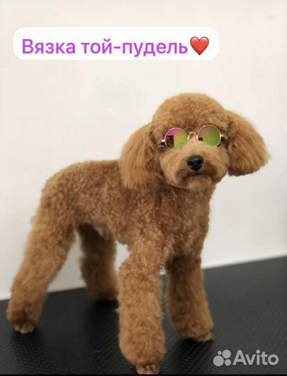 Шпиц вязка