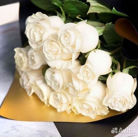 Высокие Розы Гиганты Доставка Круглосуточно