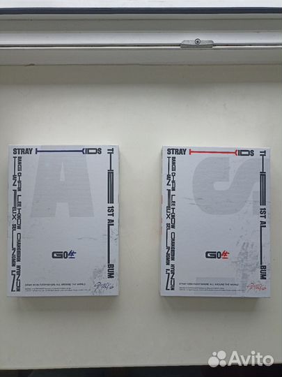 Stray kids альбом go
