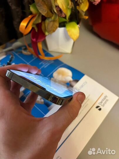 iPhone 12 Pro Max, 256 ГБ