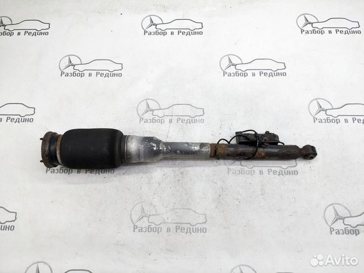 Пневмостойка задняя w220 S-class 113.966 19.05