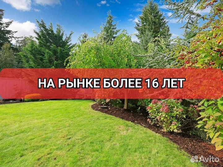 Рулонный газон от производителя стандарт