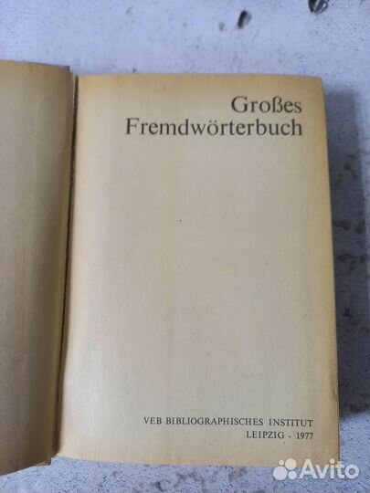 GroBes Fremdworterbush