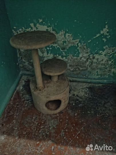 Кошачий домик