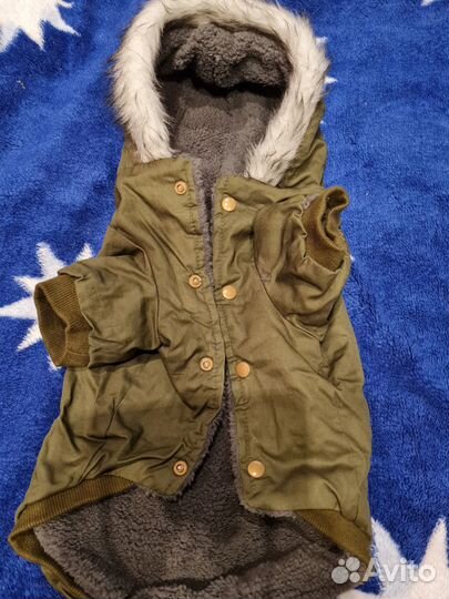 Одежда для собак