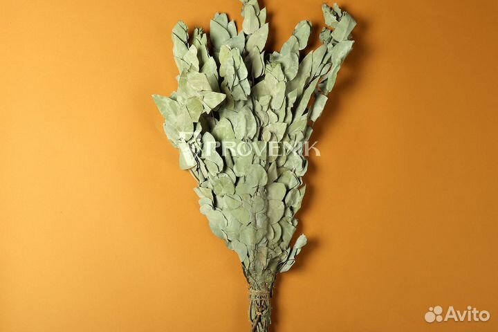 Веники березовые