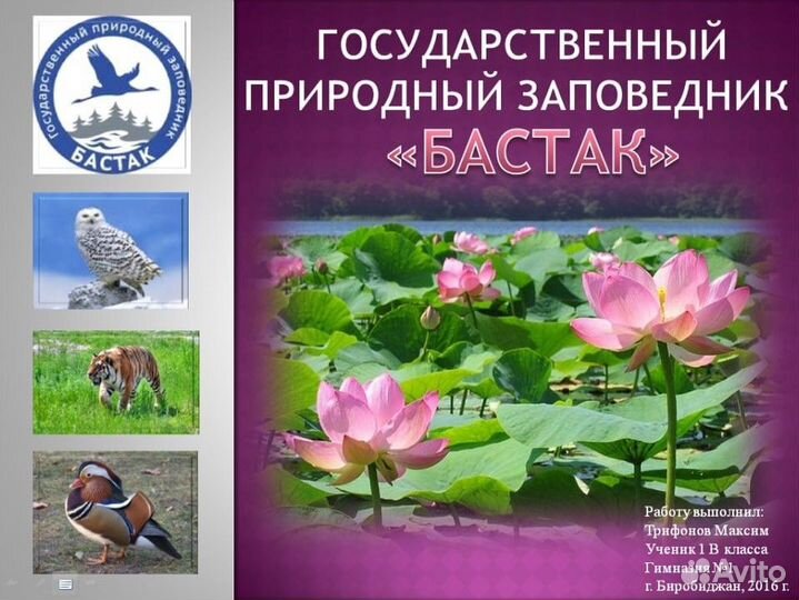 Проект 