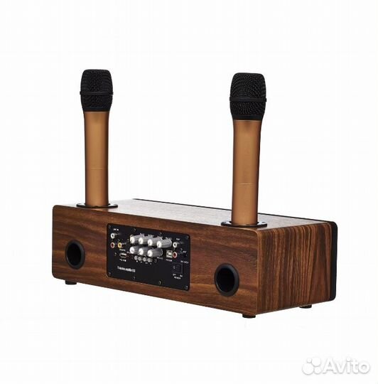 Караоке-система Mojo Pro 2 радио микрофона, 120 Вт