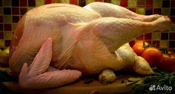 Индейка, мясо бройлерной индейки