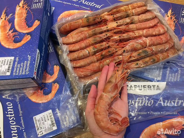 Лангустины с Головой и без Головы