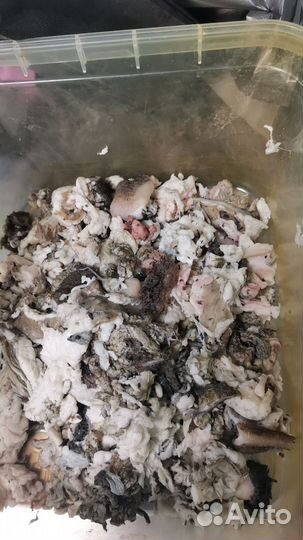 Рубец говяжий для собак