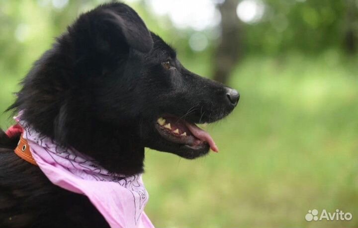 Лиз.Только посмотрите на неё