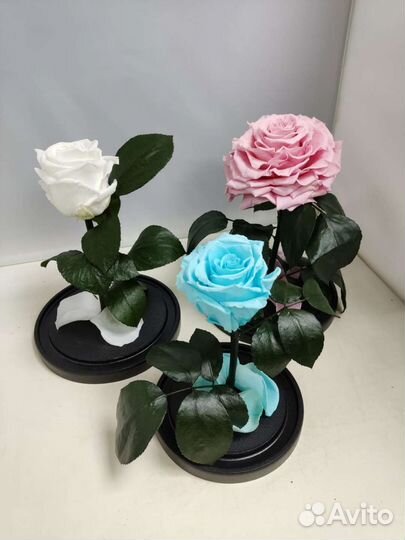 Подарок маме / Розы оптом