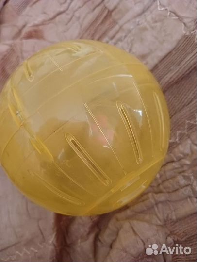 Шар для хомяка