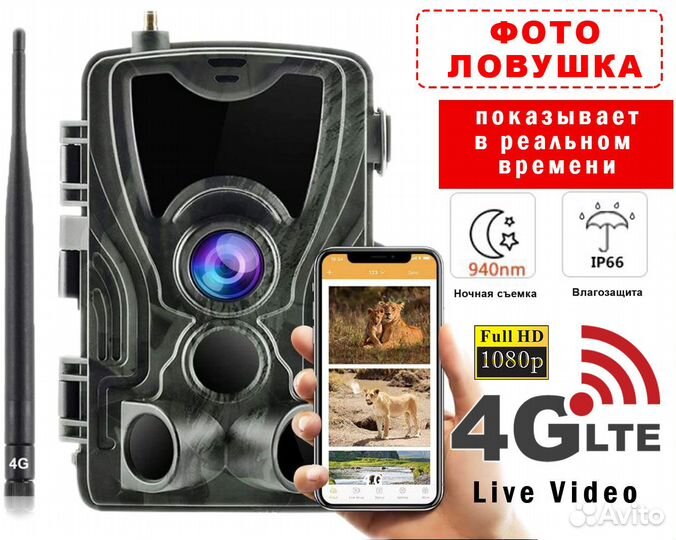 Фотоловушка 4G+ LTE