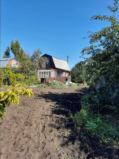 садоводы алтайского края. садоводы алтайского края. снт алтайский садовод. овощевод. снт огоньки первомайский район алтайский край дачи.