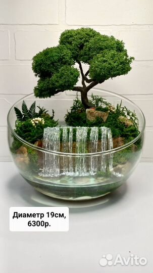 Моссариумы