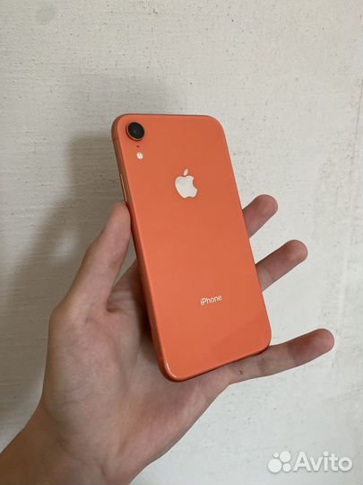 iPhone Xr, 128 ГБ