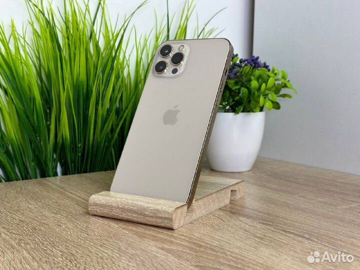iPhone 12 Pro Max, 256 ГБ