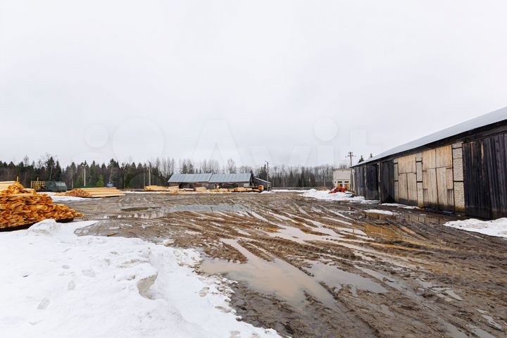 Производственный комплекс (деревообработка)