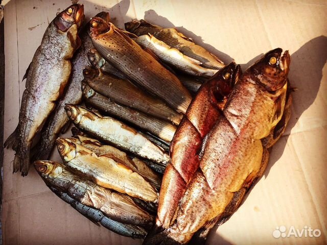 Рыба холодного и горячего копчения